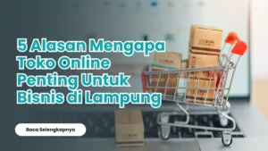 Alasan Mengapa Toko Online Penting